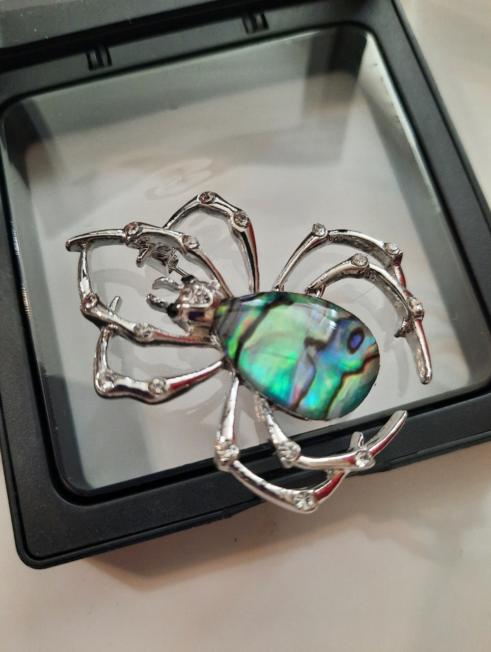 Abalone Spider Pin Brooch in Iridescent Green Blue